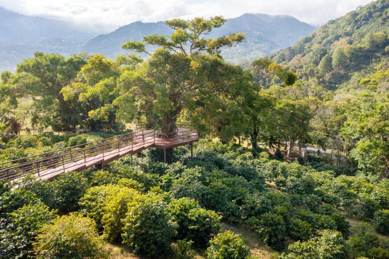 Los Establos Boutique Resort Boquete Luaran gambar